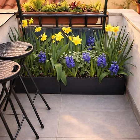 Modern Loft, Rooftop Patio, Full Kitchen *